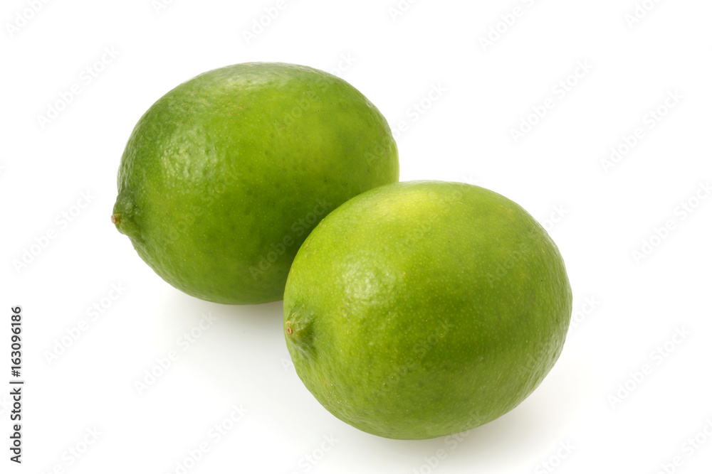 ライム Lime ライム Lime