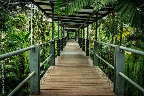 Footbridge in the park