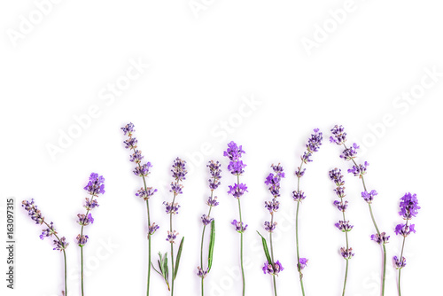 Fresh lavender flowers on a white background. Lavender flowers mock up. Copy space.