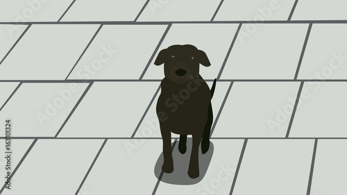 Super black dog