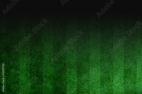 Photography Artificial Grass background