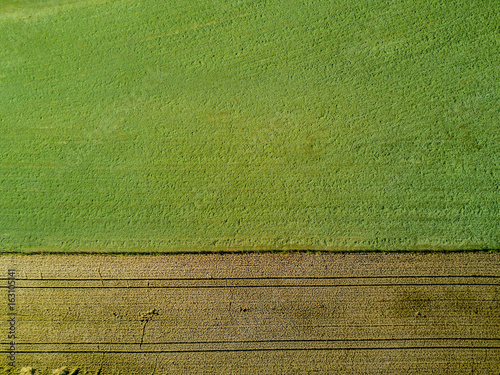 Aerial view of border between agricultural fields