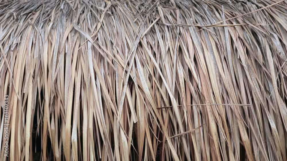 Thatch on the roof of table in Dubai Thatch on the roof of table in Dubai