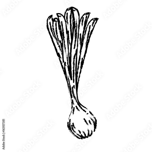 figure fresh long onion plant vegetable