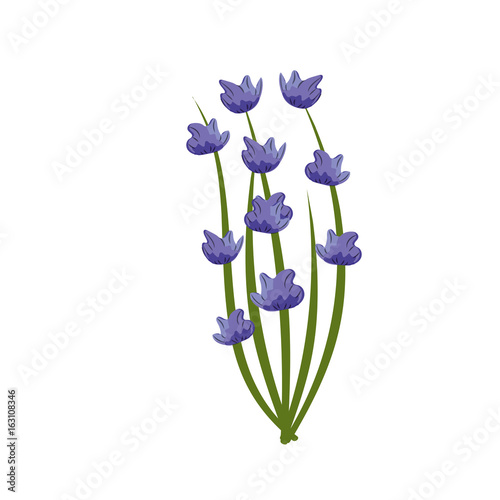 chives plant ingredient to condiment of food