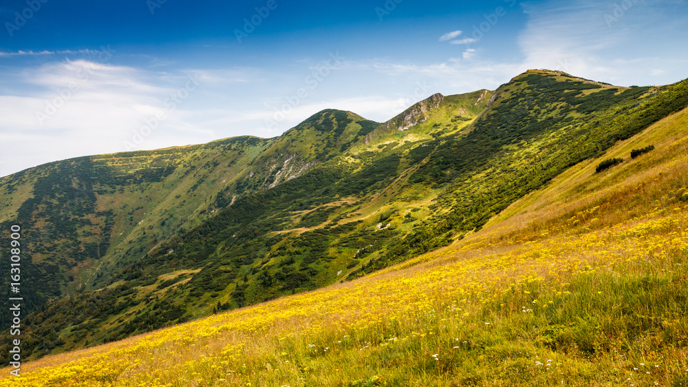 Mountain ridges in the Vratna valley in the national park Mala Fatra, Slovakia, Europe.