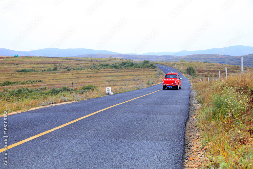 The car on the grassland highway