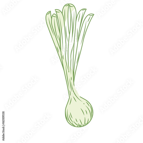 silhouette fresh long onion plant vegetable