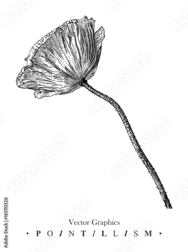 Fototapeta Naklejka Na Ścianę i Meble -  Vector illustration with poppy flower drawn by hand. Graphic drawing, pointillism technique. Black and white floral element for design