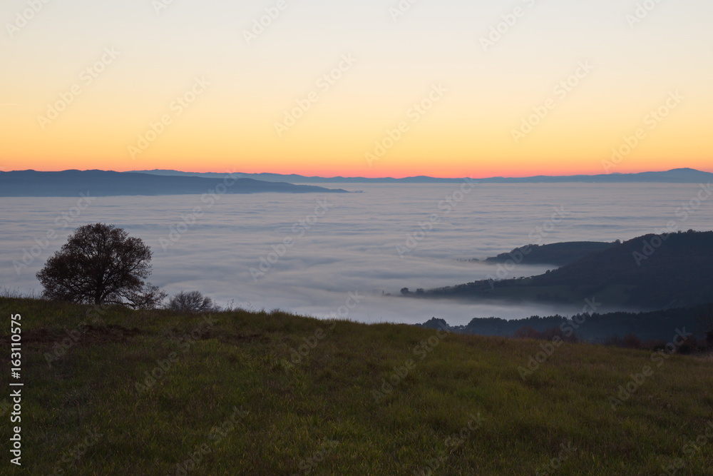 Fog filling a valley at sunset, with hills and mountains emerging like cliffs and plants in the foreground