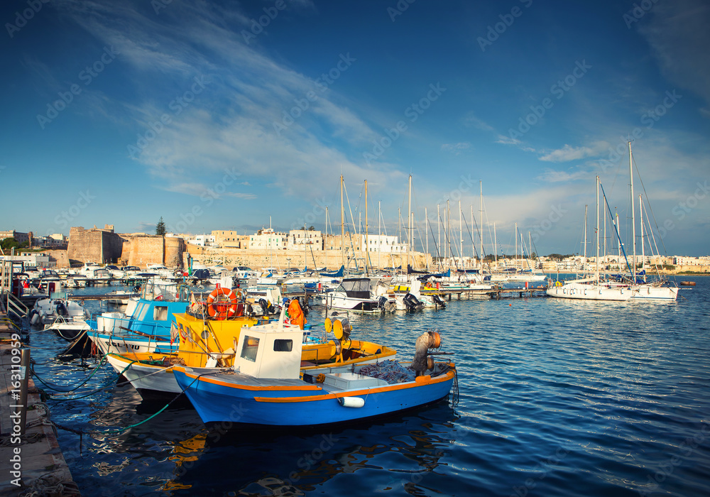 A typical old Italian fishing boats in the port