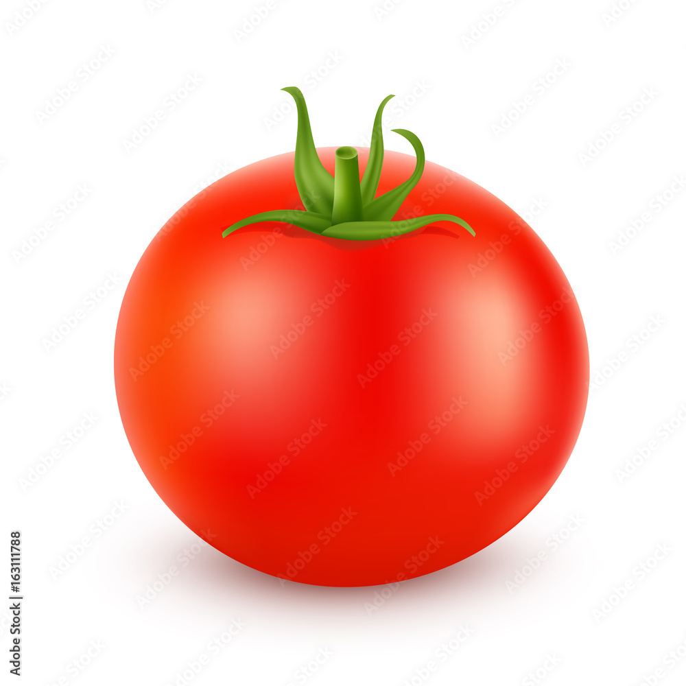 Tomato realistic isolated on white. Vector illustration Tomato realistic isolated on white. Vector illustration