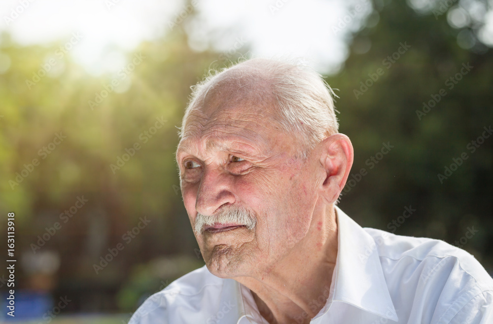 old man portrait, sitting on a bench in a park in summer old man portrait, sitting on a bench in a park in summer