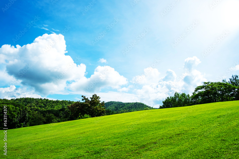 Green lawn on small hill with blue sky and white cloud in the background on sunny day