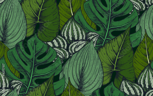 Vector seamless pattern with compositions of hand drawn tropical plants