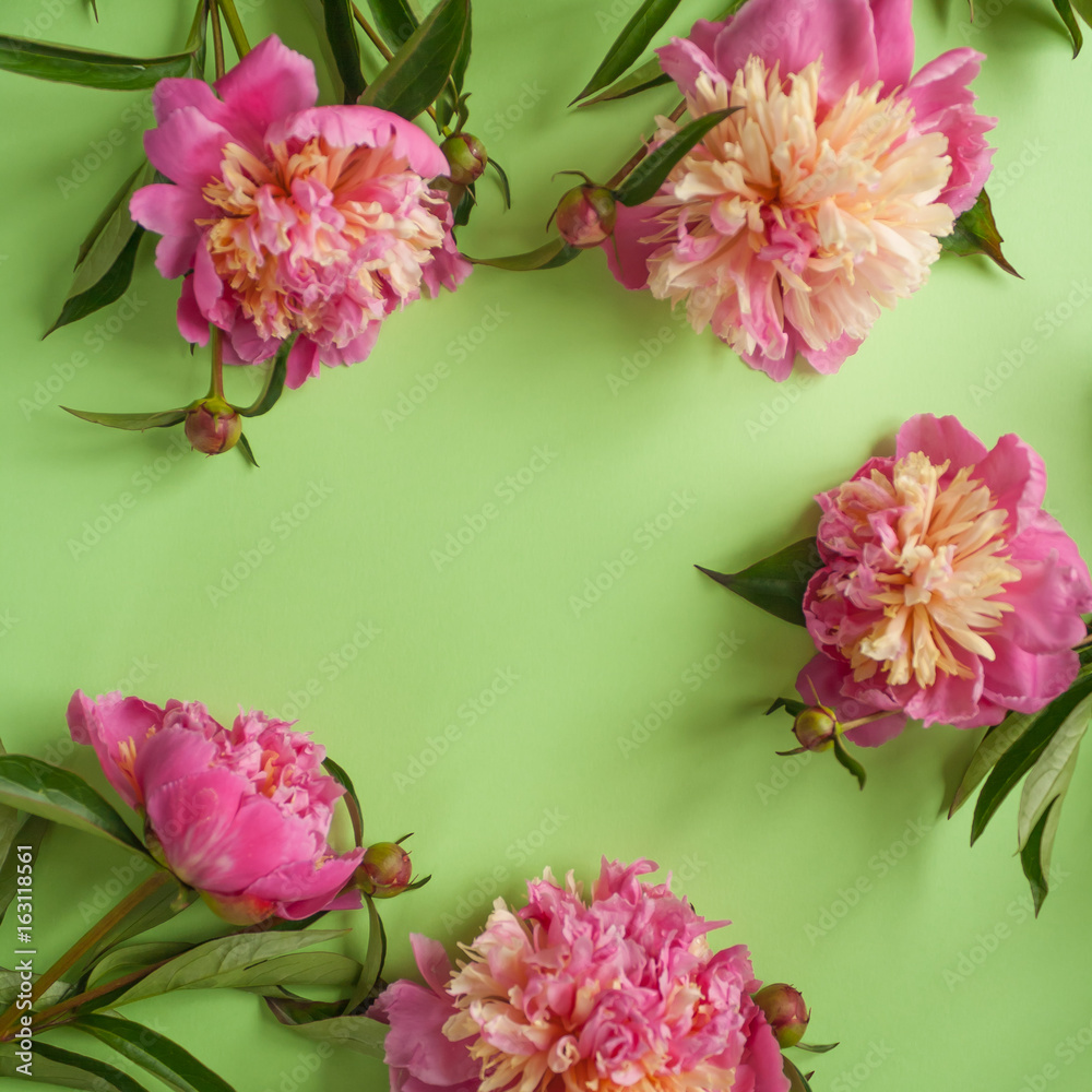 Pink peonies on green background Pink peonies on green background
