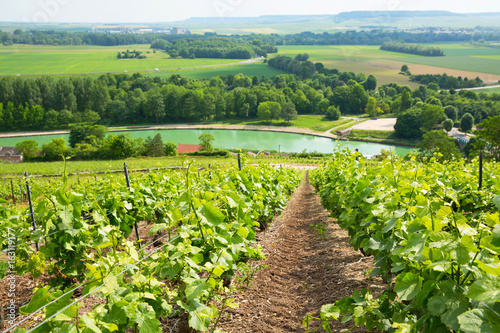 Принти на полотні Parc Naturel Régional de la Montagne de Reims in Champagne, France