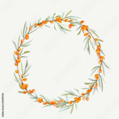 Watercolor vector sea buckthorn