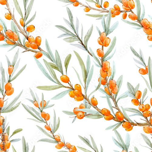 Watercolor sea buckthorn vector pattern