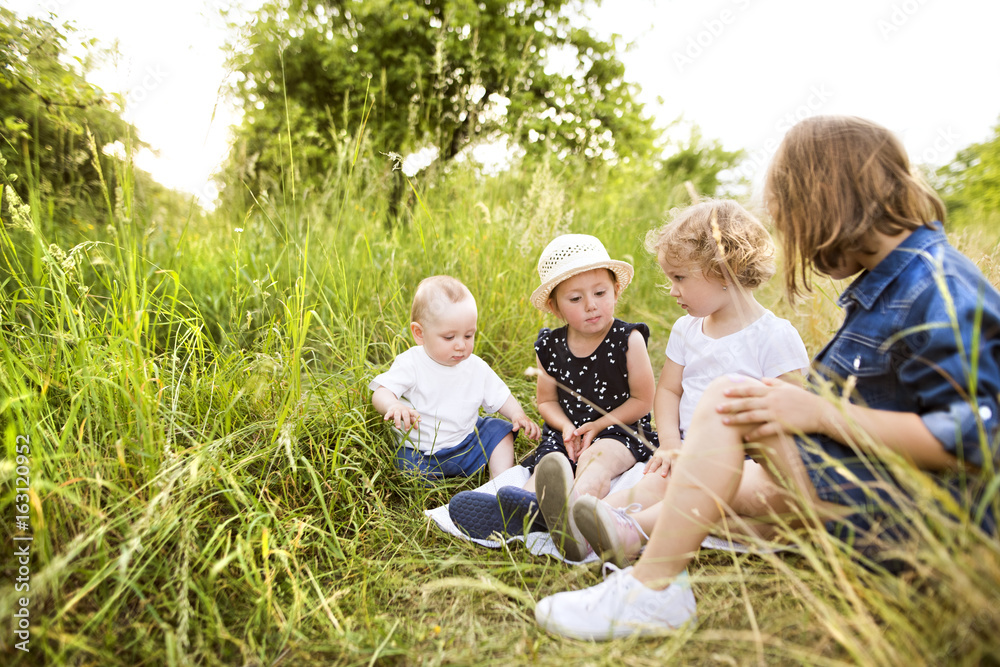 Fototapeta premium Cute little children outside in in green summer nature.