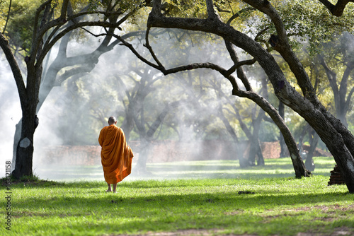 Canvas-taulu The monk walks in the park, the monk meditates under the Buddha's tree at Wat Ayutthaya, the Buddhist monk temple in Thailand