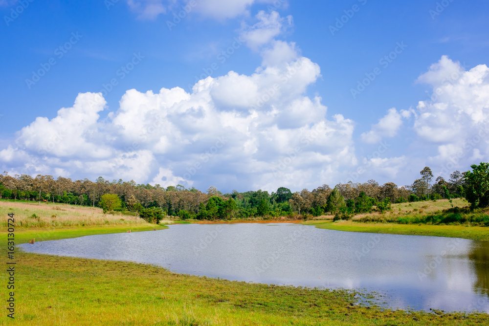 Beautiful scenery with water, meadow and forest.