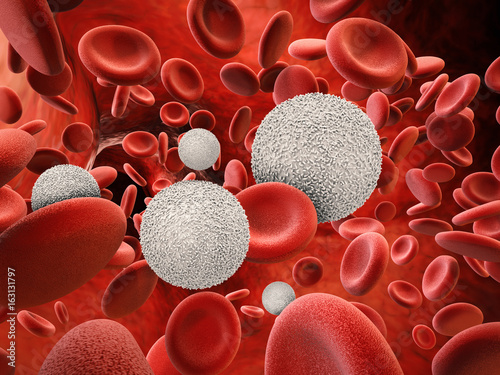  white blood cells with red blood cells