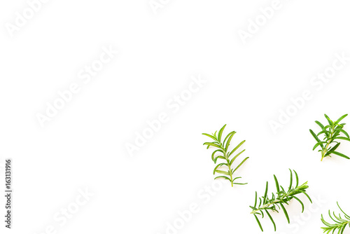 Fresh branches with leaves of organic rosemary seen from above isolated on a white background
