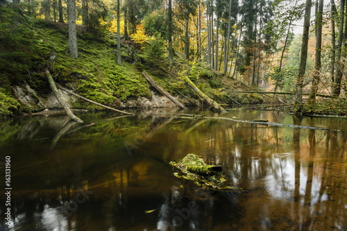 Obraz na płótnie Brda River./ Pomerania, Poland
