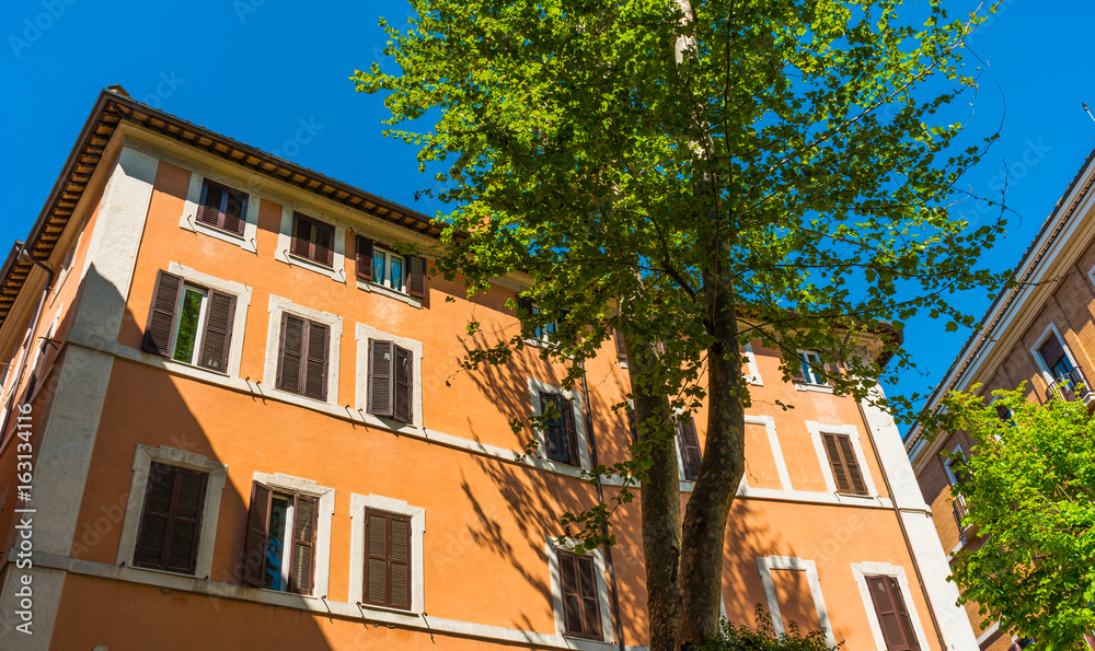 Naklejka premium beautiful orange buildings with green tree at rome, italy