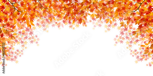 紅葉　秋　風景　背景