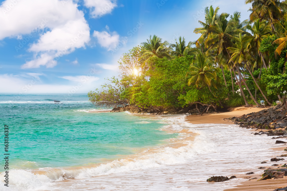 Beautiful tropical beach with palmtrees. Beautiful tropical beach with palmtrees.