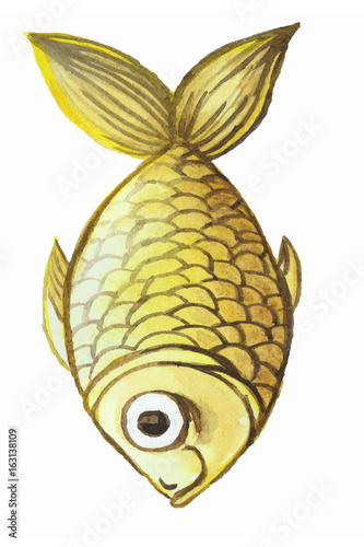 Painted watercolor drawing of fish, yellow fish, goldfish on white background