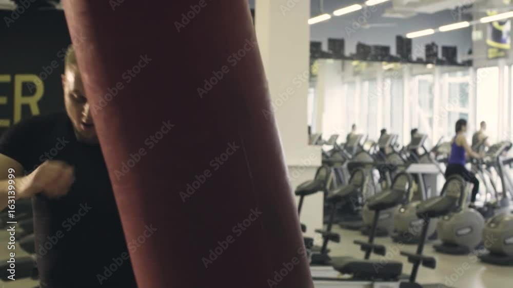Boxer training punching bag