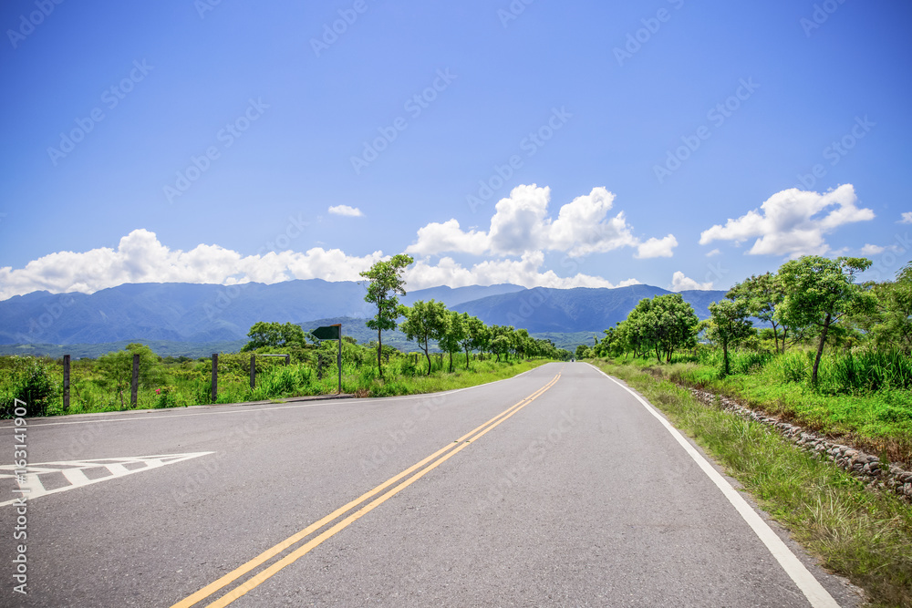Fototapeta premium Trees and roads in Chishang,Taitung,Taiwan