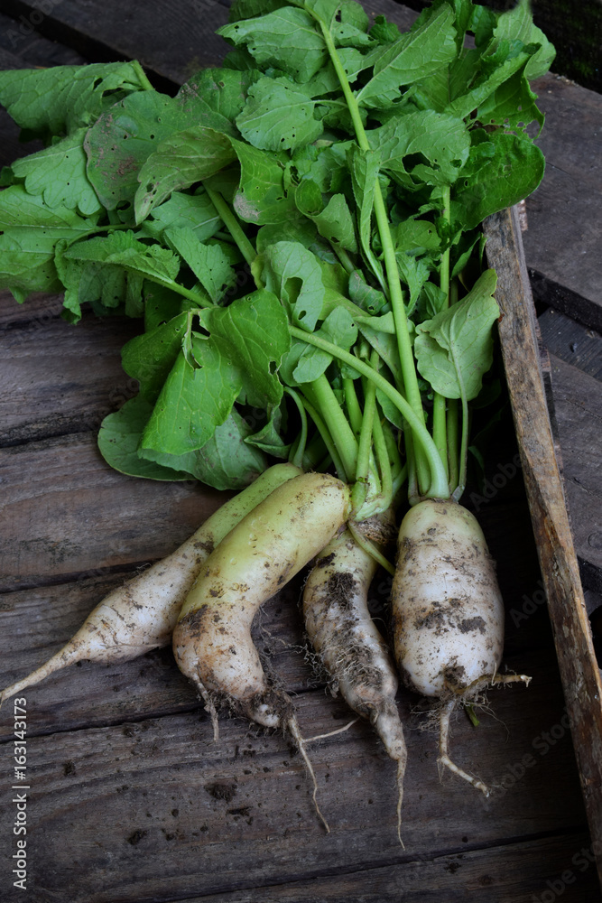 Organic white radish daikon on a wooden background. Healthy food. Top view Organic white radish daikon on a wooden background. Healthy food. Top view