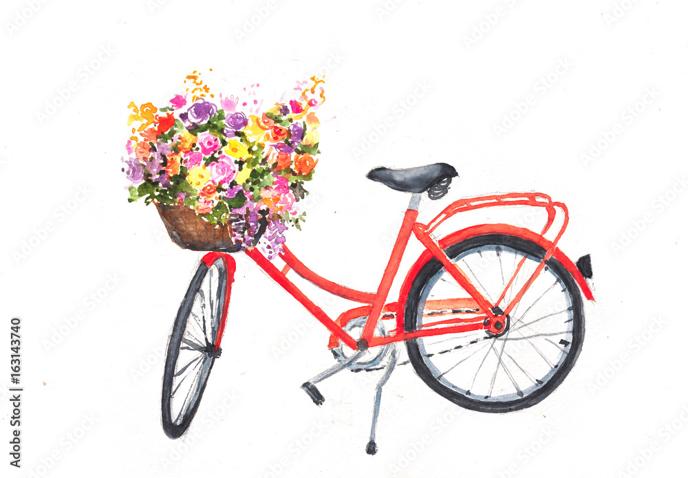 Fototapeta Czerwony rower retro z kwiatami w koszu na białym tle, akwarela ręcznie rysowane na papierze do dekoracji domu
