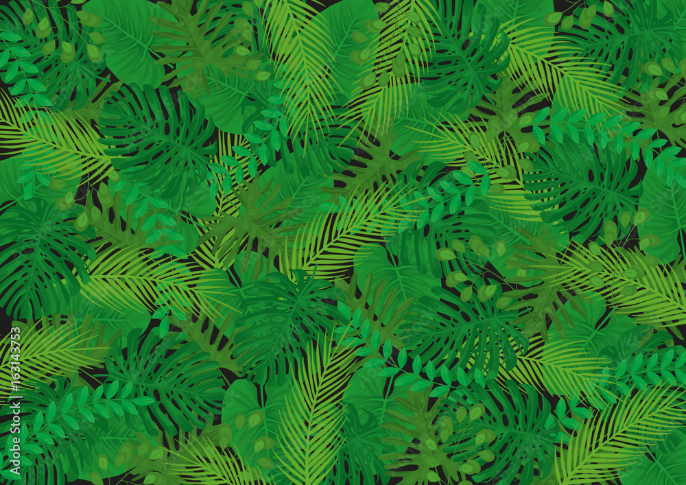 Tropical Leaves Vector Background - Black