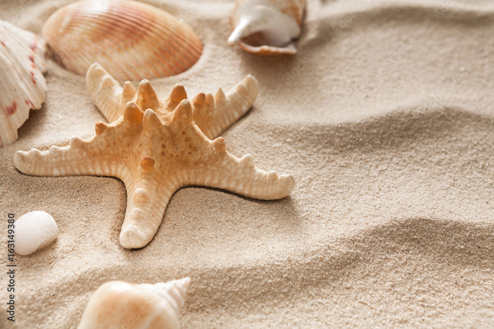 Sea beach sand and seashells background, natural seashore stones and starfish Sea beach sand and seashells background, natural seashore stones and starfish