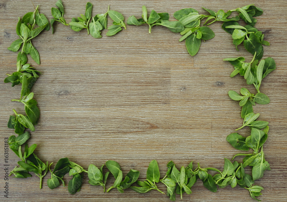 Rectangle shape frame made of orach saltbush green leaves on wooden background. First spring summer crop. Healthy food, gardening. Wild organic edible plants. Copy space Rectangle shape frame made of orach saltbush green leaves on wooden background. First spring summer crop. Healthy food, gardening. Wild organic edible plants. Copy space