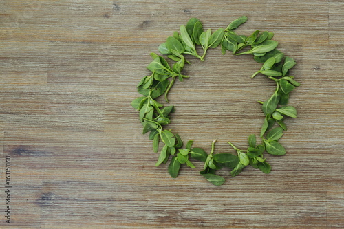 Circle shape frame made of orach saltbush green leaves on wooden background. First spring summer crop. Healthy food, gardening. Wild organic edible plants. Copy space