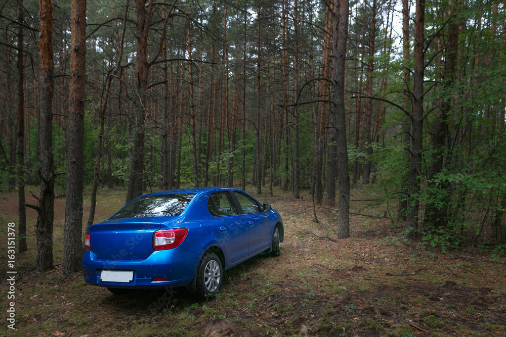 GOMEL, BELARUS - 24 MAY 2017: RENO LOGAN blue car parked in a dark pine forest.