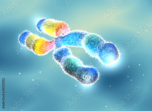 Chromosome with highlightes telomeres