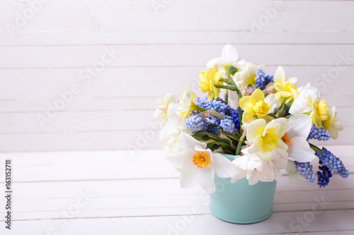 Fototapeta Naklejka Na Ścianę i Meble -   Blue muscaries and yellow narcissus flowers in vase  on  wooden background.