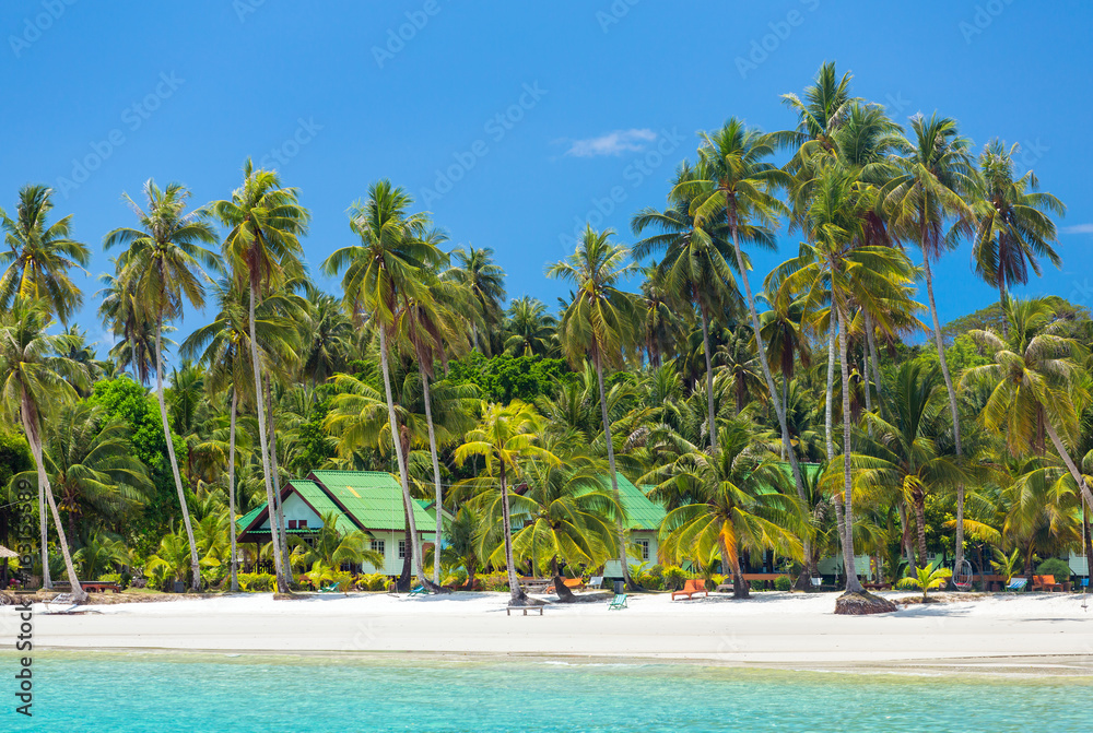 Obraz premium Palm trees on beautiful tropical beach on Koh Kood island in Thailand