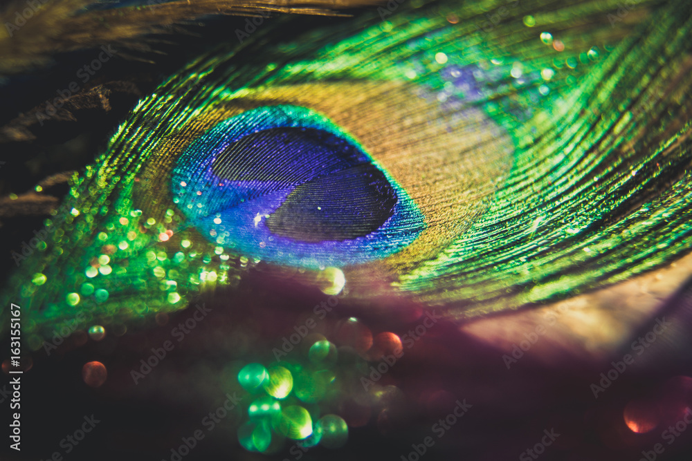 Obraz premium Colorful feather peacock with lights bokeh. Concept of peace