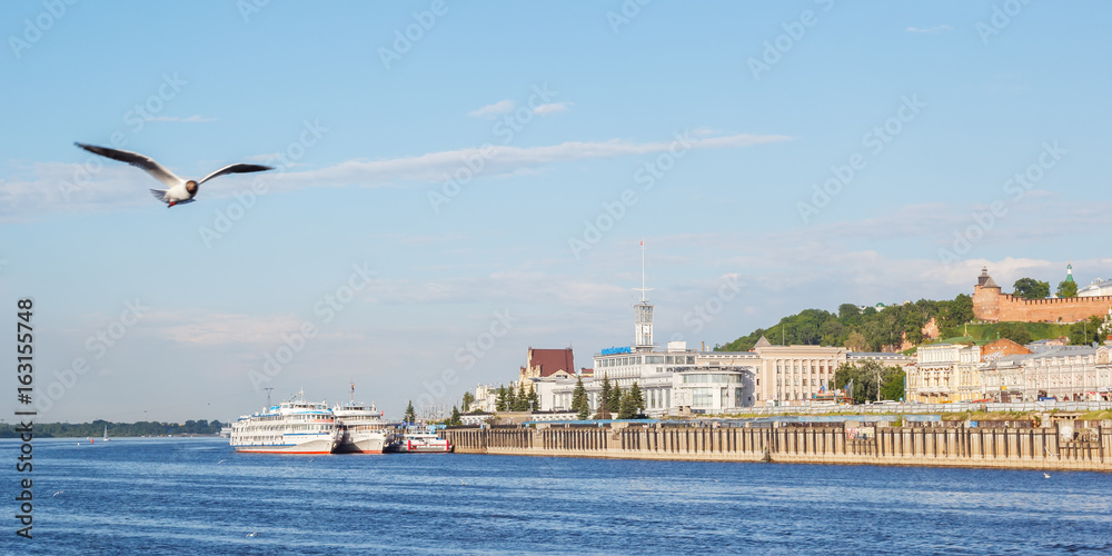 The seagull is flying over the river and the river station of Nizhny Novgorod