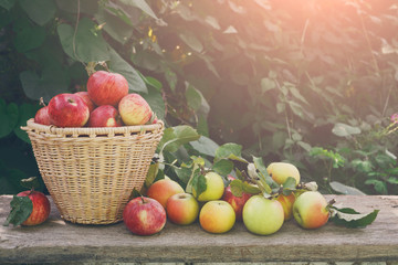 Baskets with apples harvest in fall garden