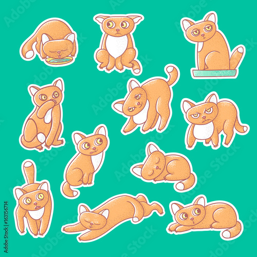 Textured color vector set of illustration sticker of cute emotional ginger kitten. The face of the cat reflects different emotions fear, anger, and love. Pussycat is sleeping, drinking from bowls.