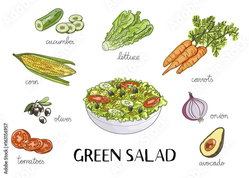 vector hand drawn illustration with green salad ingredients:cucumber, corn, olives, lettuce, tomatoes, carrot, onion, avocado